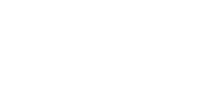 HughesNet logo